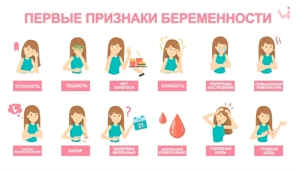 Первые признаки беременности